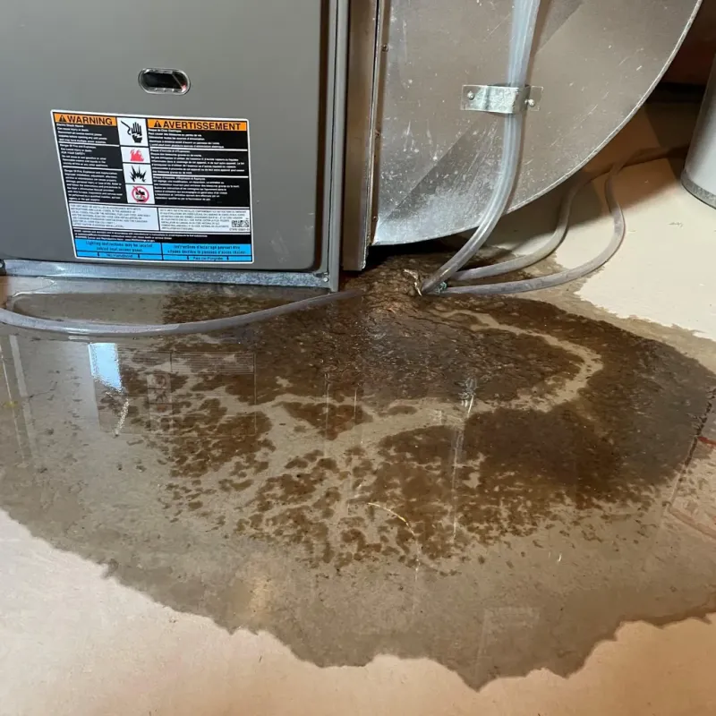 Appliance Leak Cleanup in Whiteland, IN